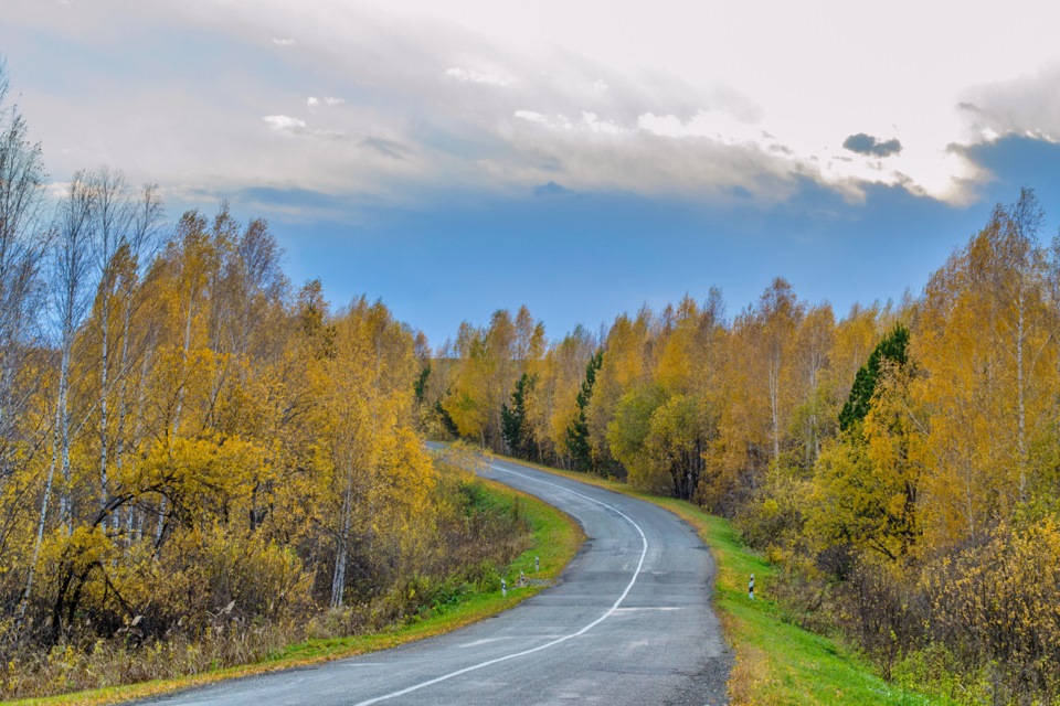 Алтайский край село огни фото