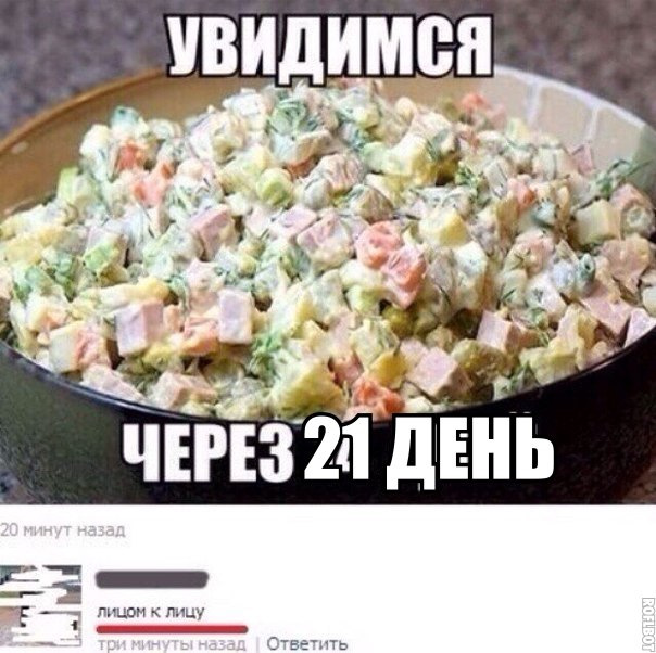 Кот с оливье новогодний мем Заливные Улыбашки!) - Сообщество "Позитивов ☺ зы" на DRIVE2