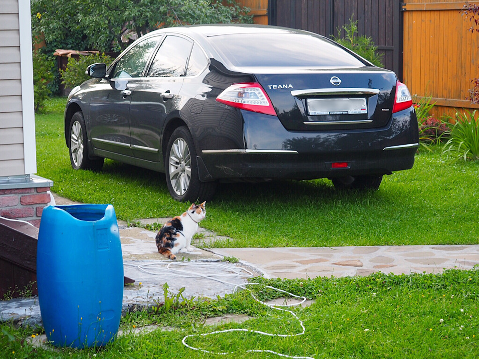 Фото в бортжурнале Nissan Teana (J32)