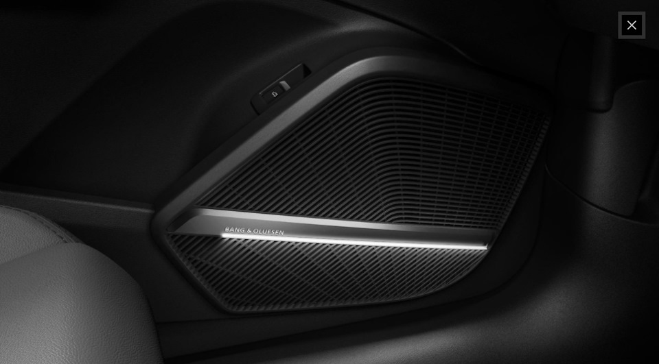 Оформление динамиков Bang & Olufsen — Audi Q5 (2G)