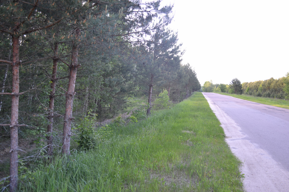 не спалось с утра поехал в лес — Mitsubishi Montero Sport, 3 л, 2000 ...