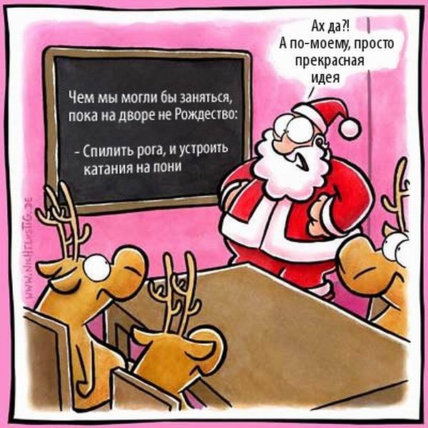 Lustige bilder witzige weihnachtsbilder