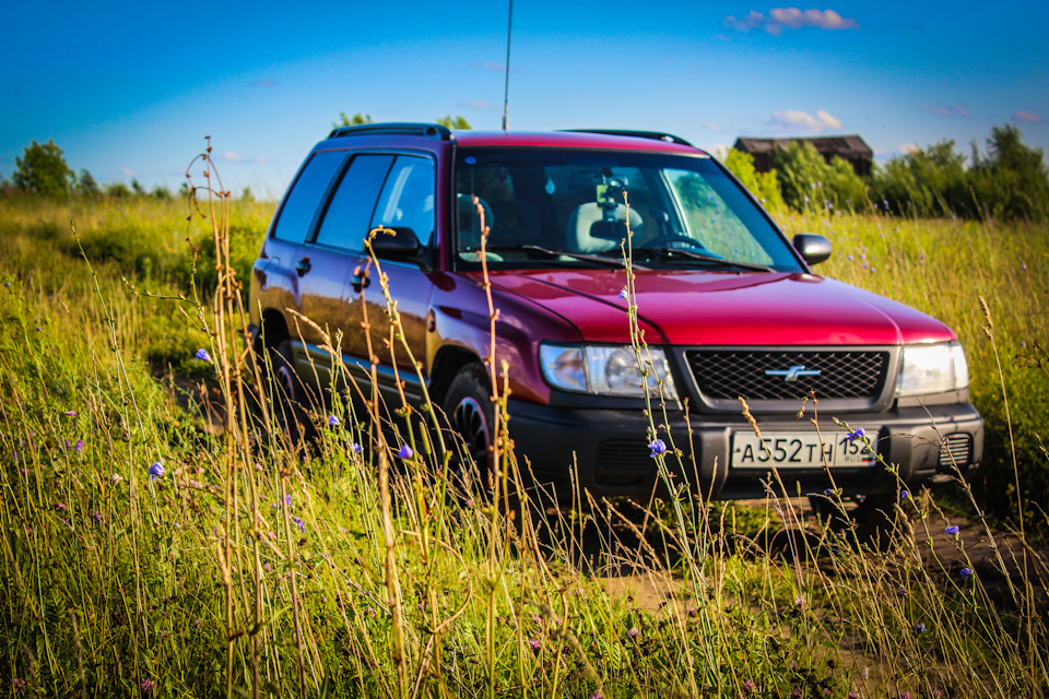 Субару Форестер СФ. Subaru Forester SF Yellow. Форестер СФ для Америки. Subaru Forester SF вектор.