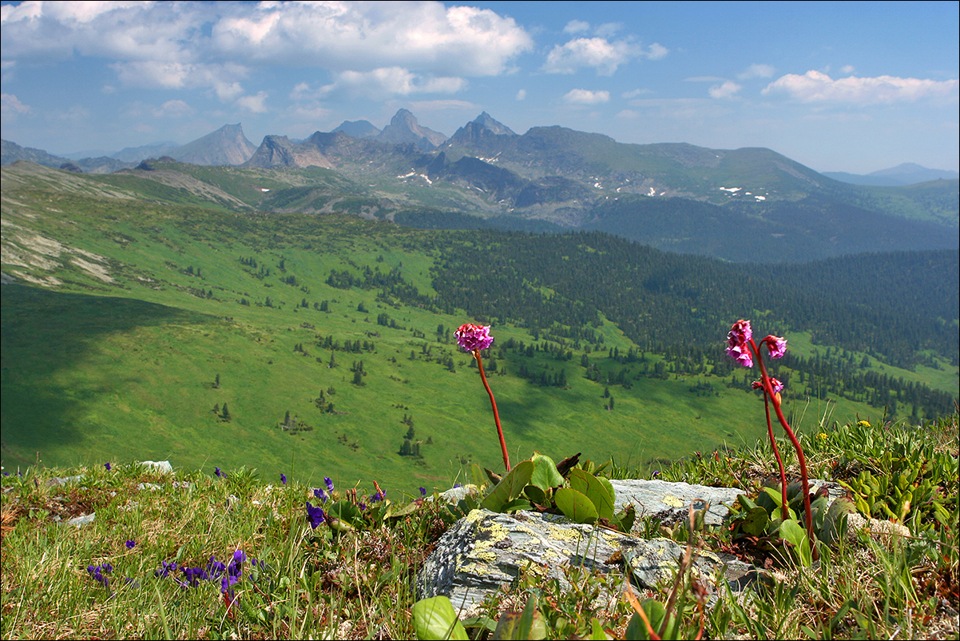 Фото в бортжурнале Toyota Hilux Surf (4G)