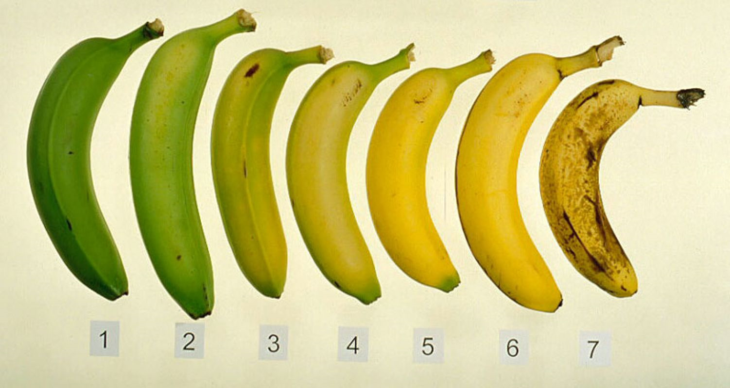 El plátano estriñe