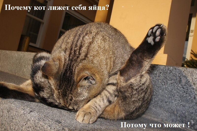 Что лучше скрутка или спайка проводов. Смотреть фото Что лучше скрутка или спайка проводов. Смотреть картинку Что лучше скрутка или спайка проводов. Картинка про Что лучше скрутка или спайка проводов. Фото Что лучше скрутка или спайка проводов