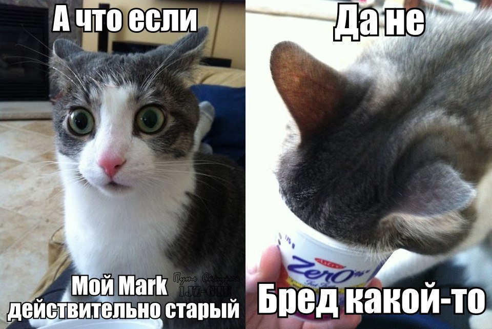 Я вообще делаю что хочу мем