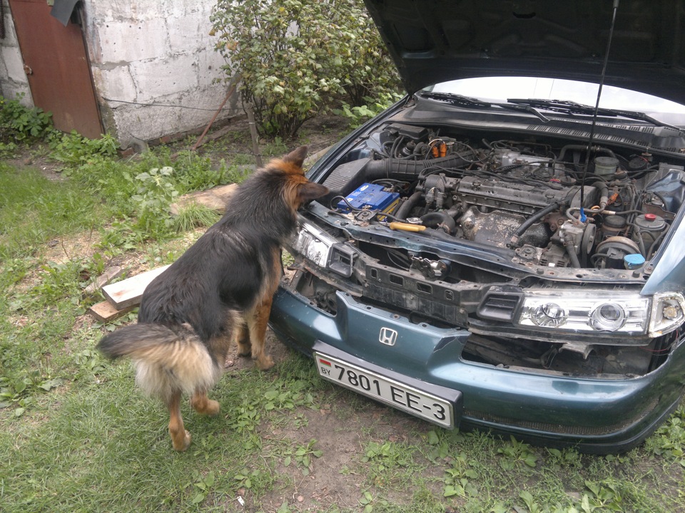 УЖС или как я разбирал авто что бы поставить поворотники — Honda ...