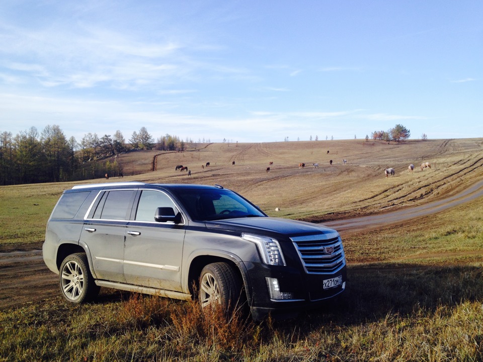 Cadillac Escalade 4g