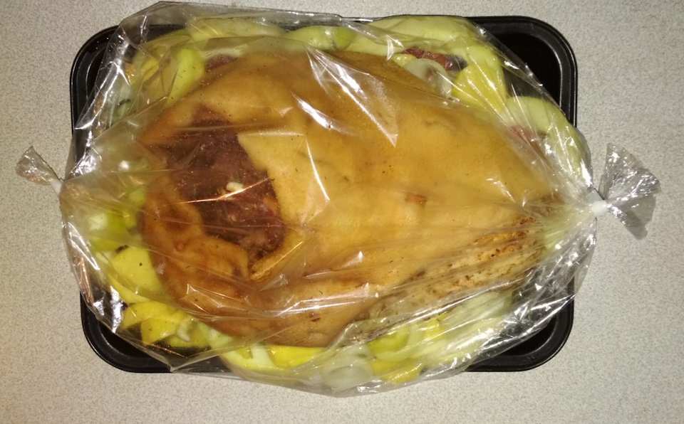 рулька в духовке в пакете для запекания рецепт с фото пошагово. Смотреть фото рулька в духовке в пакете для запекания рецепт с фото пошагово. Смотреть картинку рулька в духовке в пакете для запекания рецепт с фото пошагово. Картинка про рулька в духовке в пакете для запекания рецепт с фото пошагово. Фото рулька в духовке в пакете для запекания рецепт с фото пошагово рулька в духовке в пакете для запекания рецепт с фото пошагово. Смотреть фото рулька в духовке в пакете для запекания рецепт с фото пошагово. Смотреть картинку рулька в духовке в пакете для запекания рецепт с фото пошагово. Картинка про рулька в духовке в пакете для запекания рецепт с фото пошагово. Фото рулька в духовке в пакете для запекания рецепт с фото пошагово