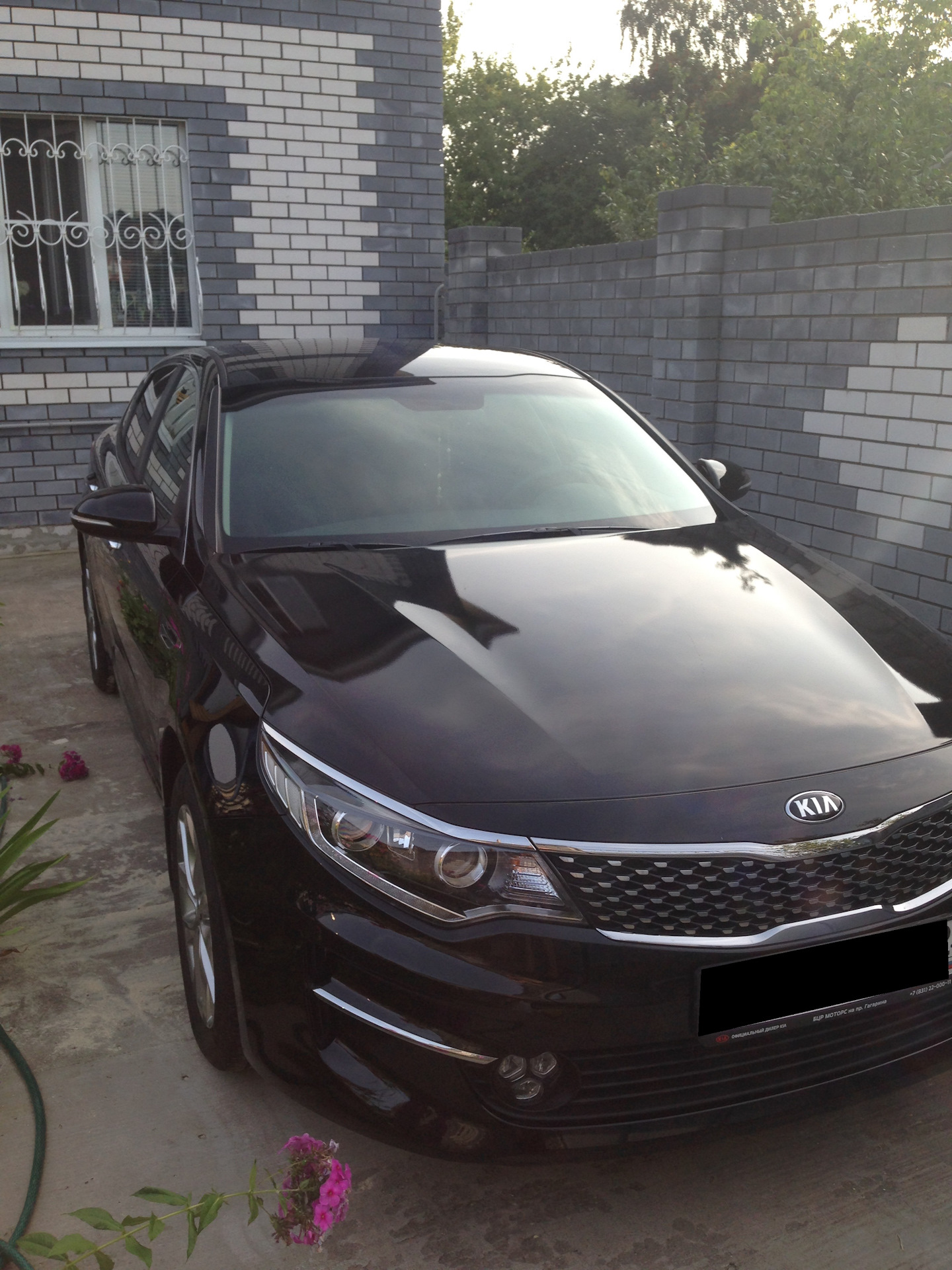 Kia Optima: Waxing Kia Optima: Waxing