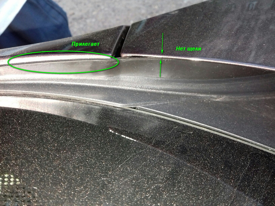 Левая сторона — Skoda Octavia A7 Mk3