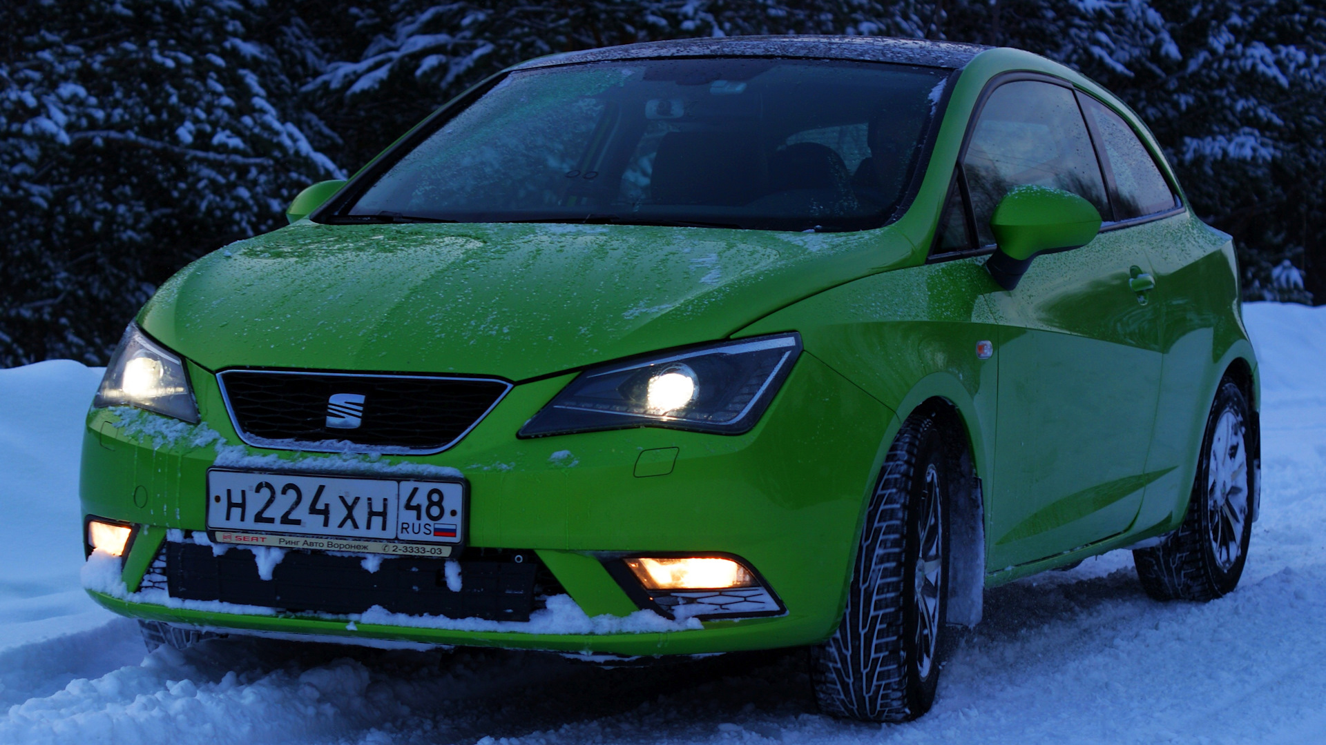 SEAT Ibiza (6J) 1.6 бензиновый 2012 | LIME 1600. на DRIVE2