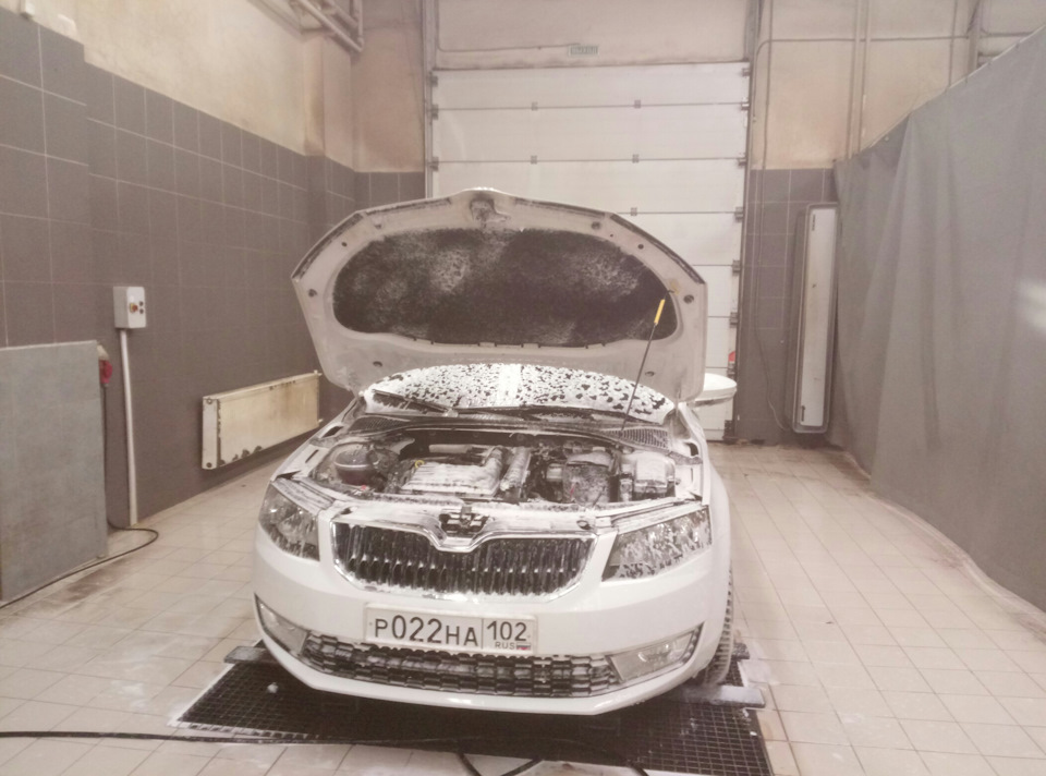 Фото в бортжурнале Skoda Octavia A7 Mk3