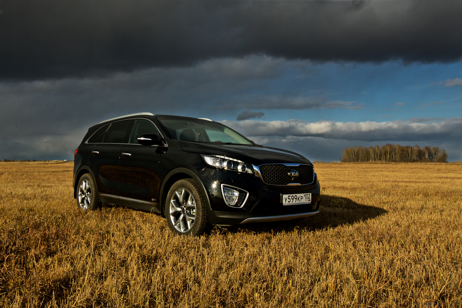 Соренто прайм. Kia Sorento Prime Black. Киа Соренто Прайм 2020 черный. Kia Sorento Prime черный. Kia Sorento 2016 Black.