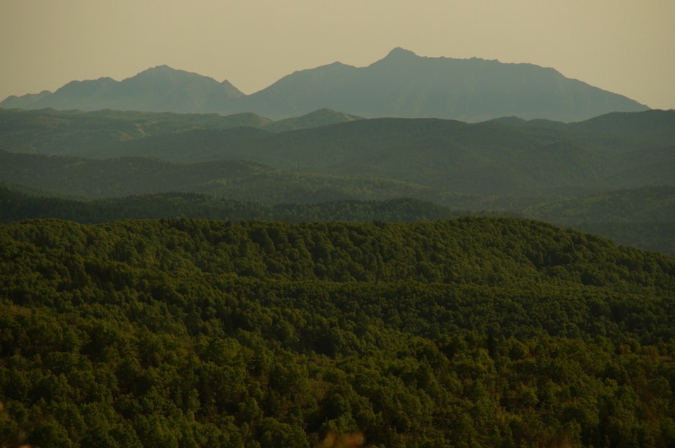 Фото в бортжурнале Nissan Safari (Y60)