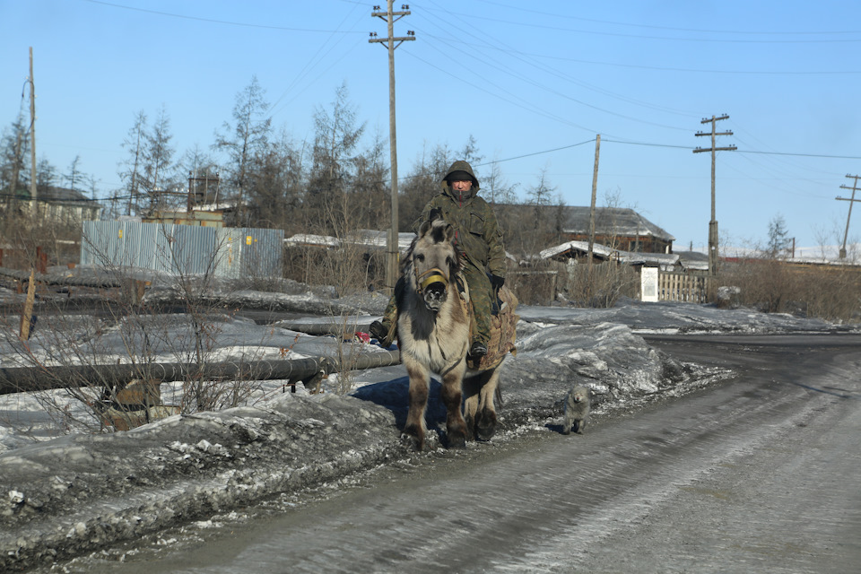 Фото в бортжурнале Toyota Land Cruiser 100