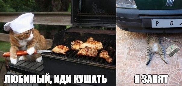 А кушать то хочется