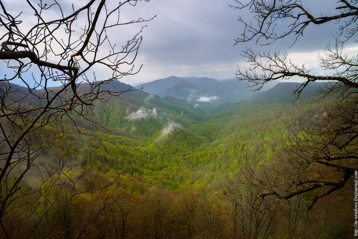 Горное настроение лагонаки фото