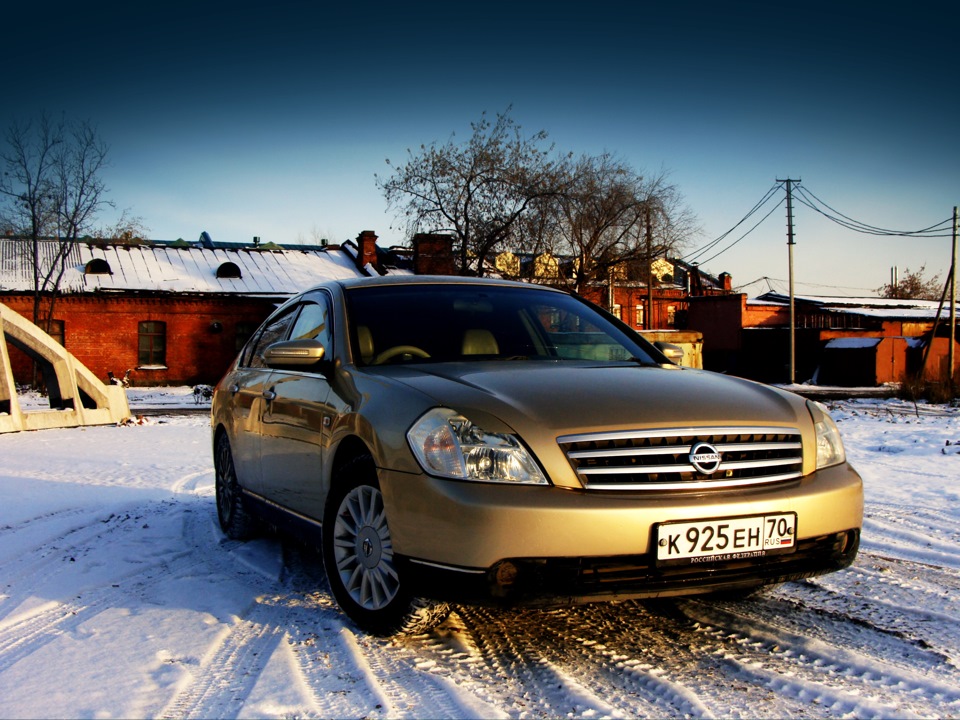 J31 2.3. Ниссан Теана j31 золотистая. Золотая Teana j31. Cars 2003 Nissan Teana j31. Ниссан Теана золотистая 31.