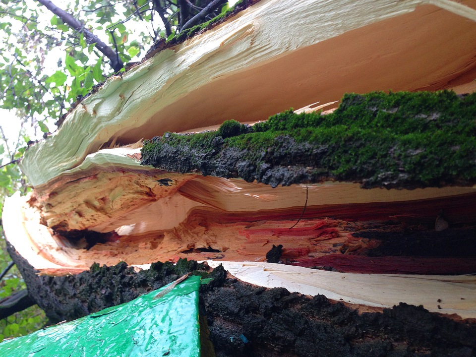 Фото в бортжурнале Land Rover Range Rover Evoque (1G)