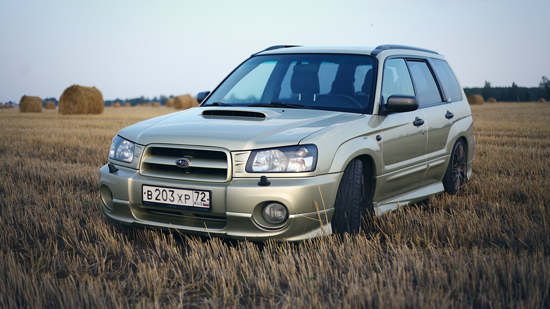 Продам субару форестер. Subaru Forester SG Gold. Субару Форестер 2002. Forester SG Gold. Субару Форестер драйв 2.