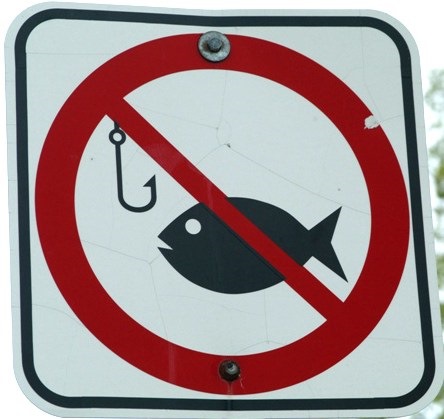 18529fas 960 для чего на спиннинге петелька возле катушки