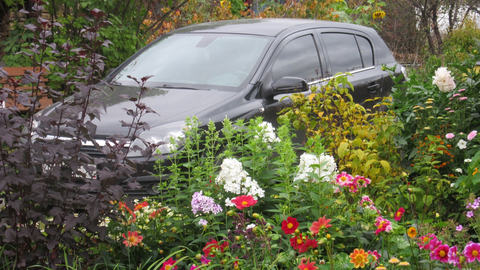 Opel Astra H бензиновый 2006 | на DRIVE2