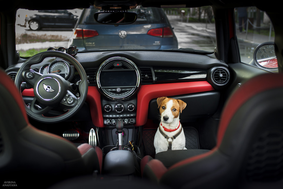 Mini cooper обзор машины. Смотреть фото Mini cooper обзор машины. Смотреть картинку Mini cooper обзор машины. Картинка про Mini cooper обзор машины. Фото Mini cooper обзор машины Mini cooper обзор машины. Смотреть фото Mini cooper обзор машины. Смотреть картинку Mini cooper обзор машины. Картинка про Mini cooper обзор машины. Фото Mini cooper обзор машины