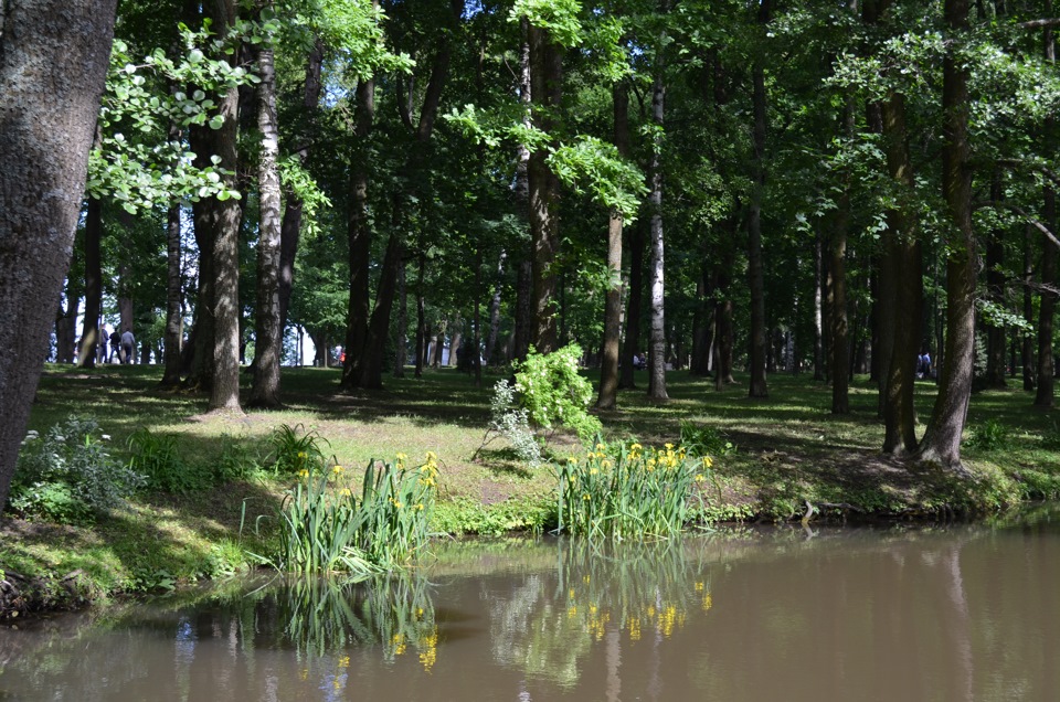 Лабиринт в петергофе в нижнем парке фото