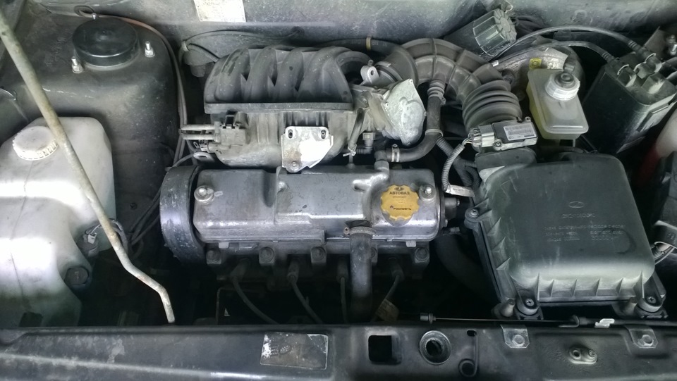 Чистка маслоотделителя и замена масла. — Lada 2114, 1,6 л, 2013 года ...