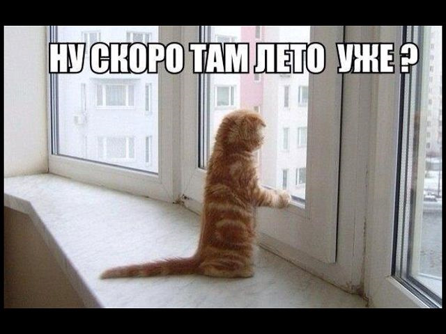 ждёмс!) — Daewoo Matiz (M100/M150)