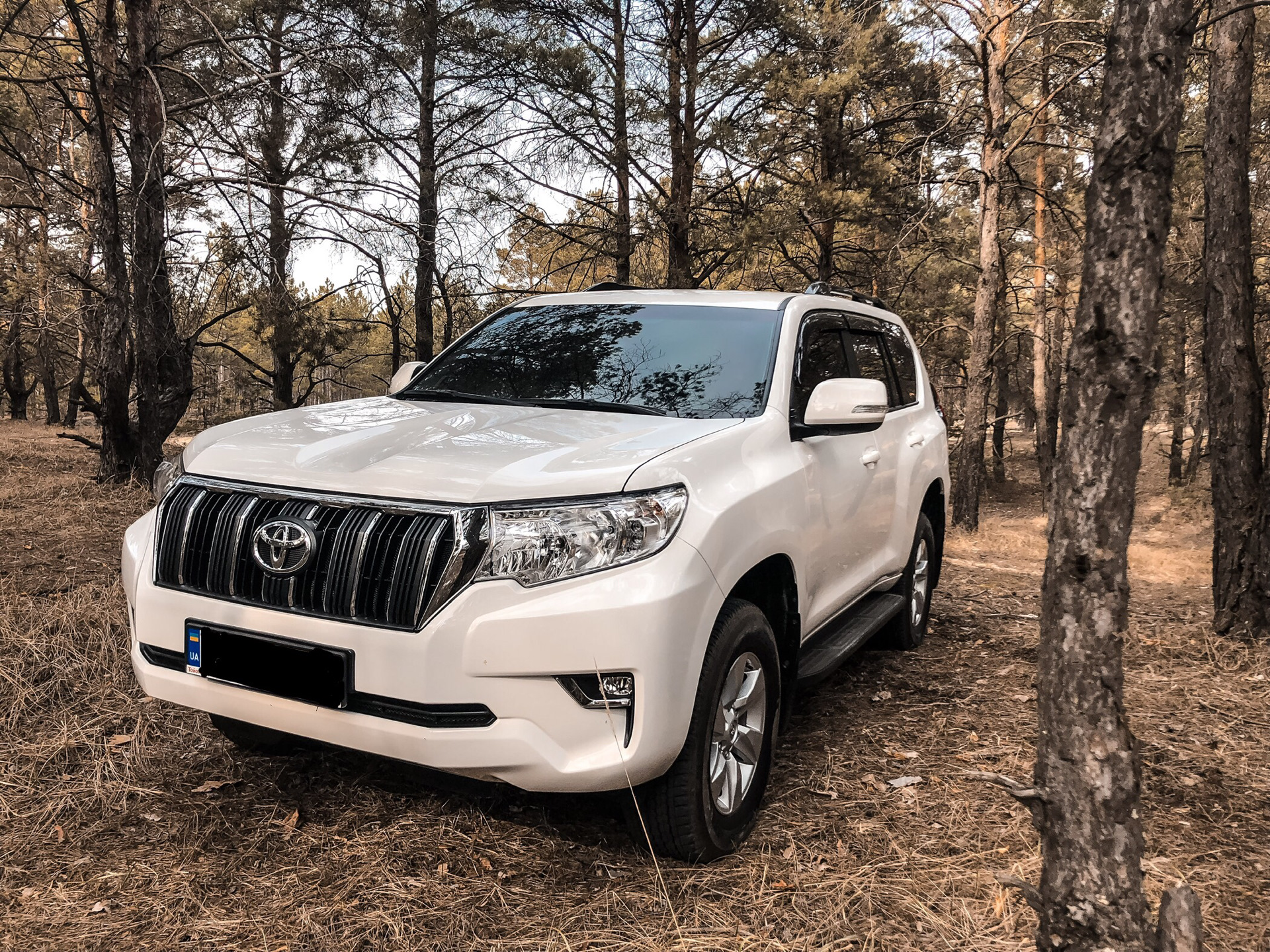 Музыка по папкам — Toyota Land Cruiser Prado 150-series, 2,7 л, 2018 года |  электроника | DRIVE2