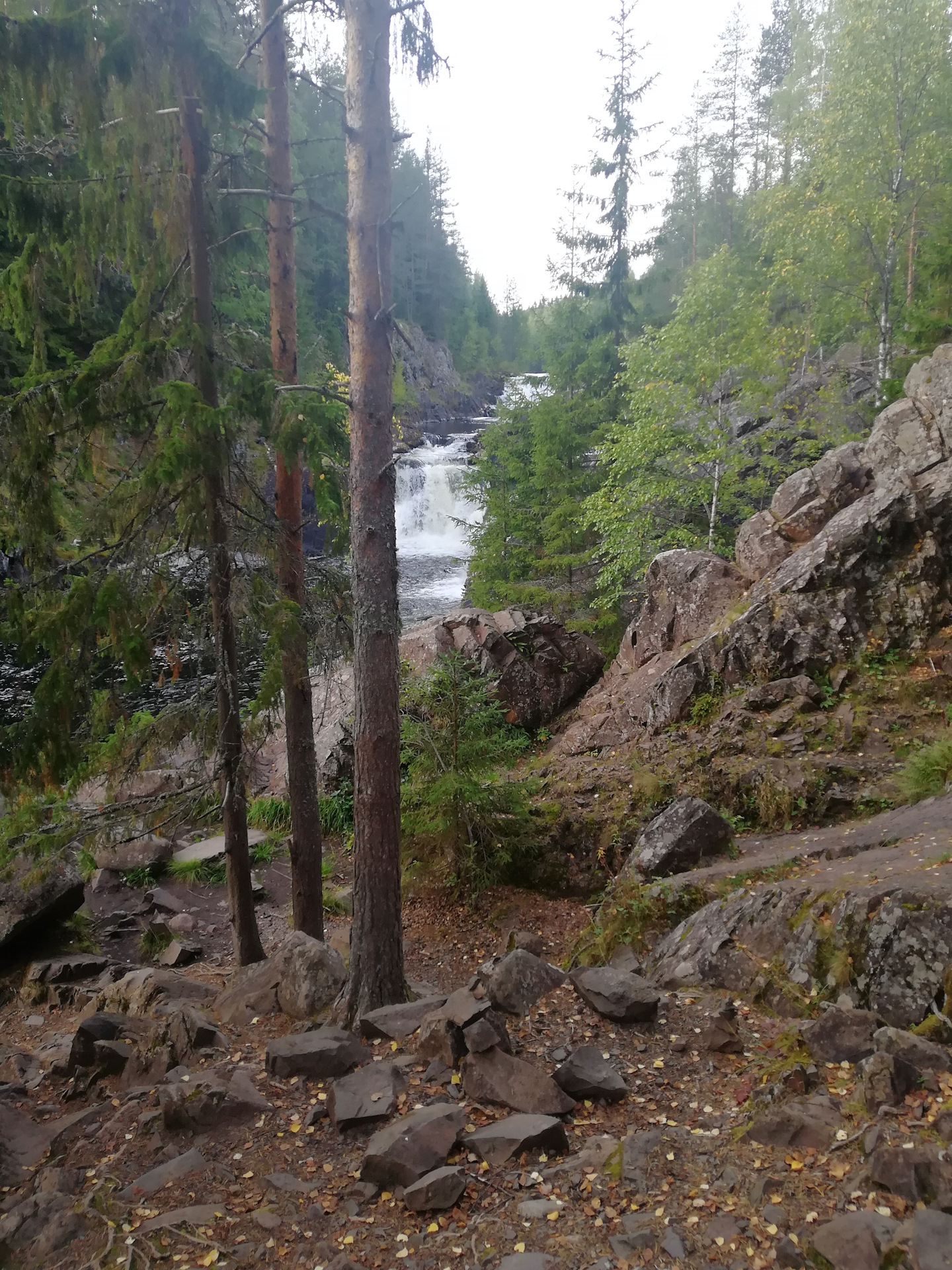 Путешествие Пермь — Карелия — Citroen C4 L, 1,6 л, 2014 года ...