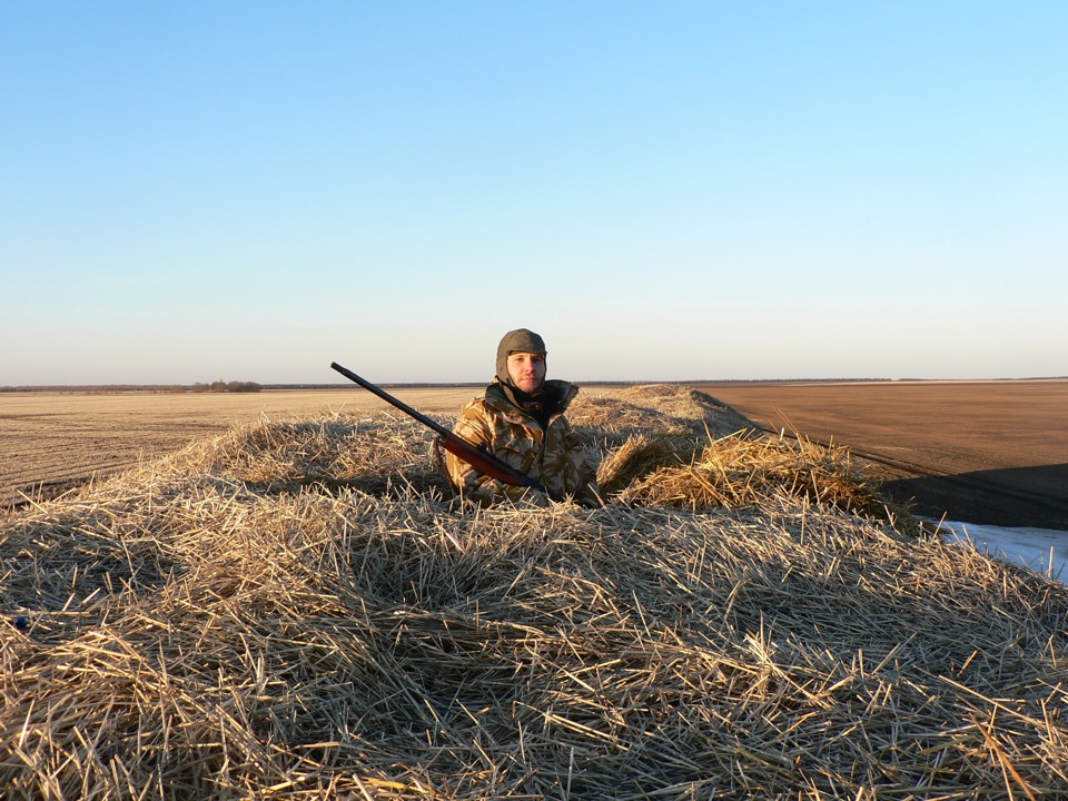 Где охотиться на гуся. Охота на гуся в Вологодской области. Охота на гуся в поле. Шалаш для охоты на гуся.