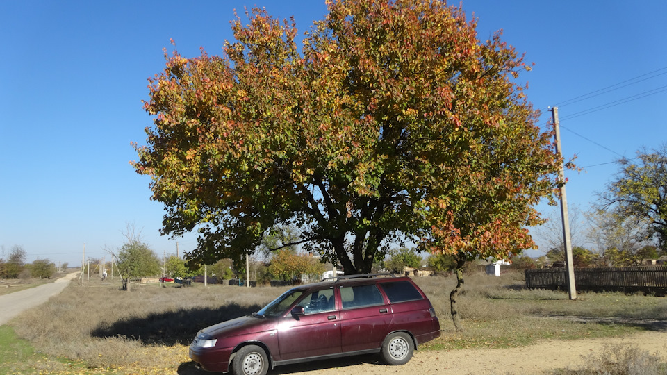 При торможении загорается восклицательный знак — Lada 21114, 1,6 л ...