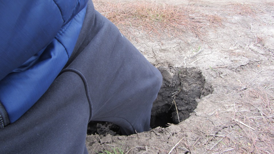 встречались по дороге ямки — Ford Mondeo III