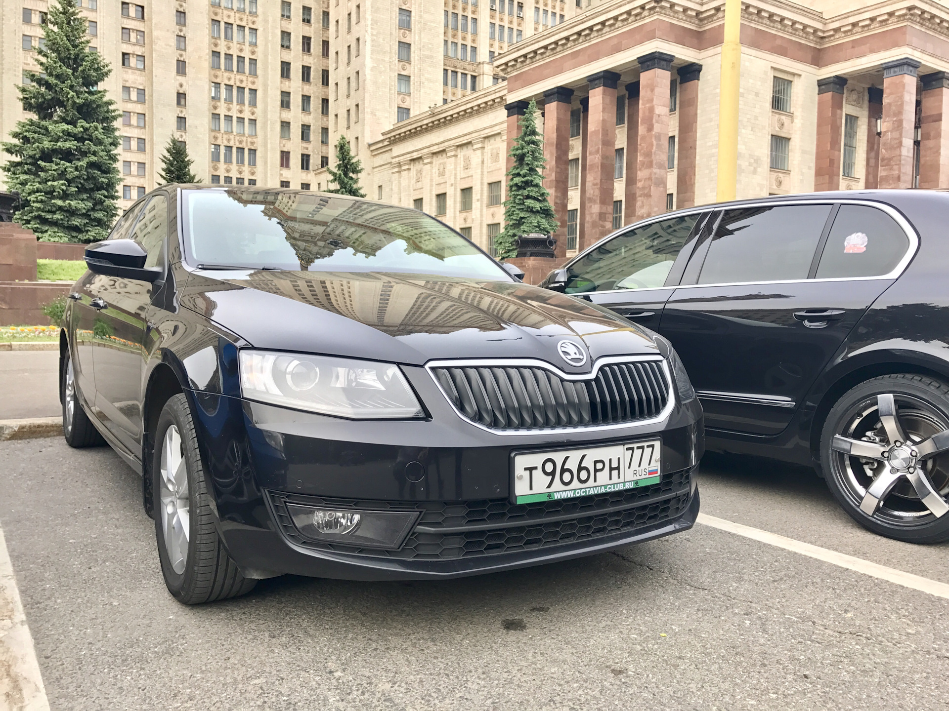 ������ ������� ���� �������� ����������� ���� �������