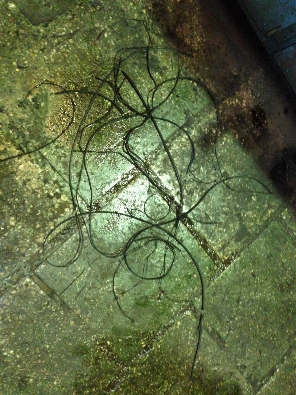 Ролик натяжителя ремня — DRIVE2