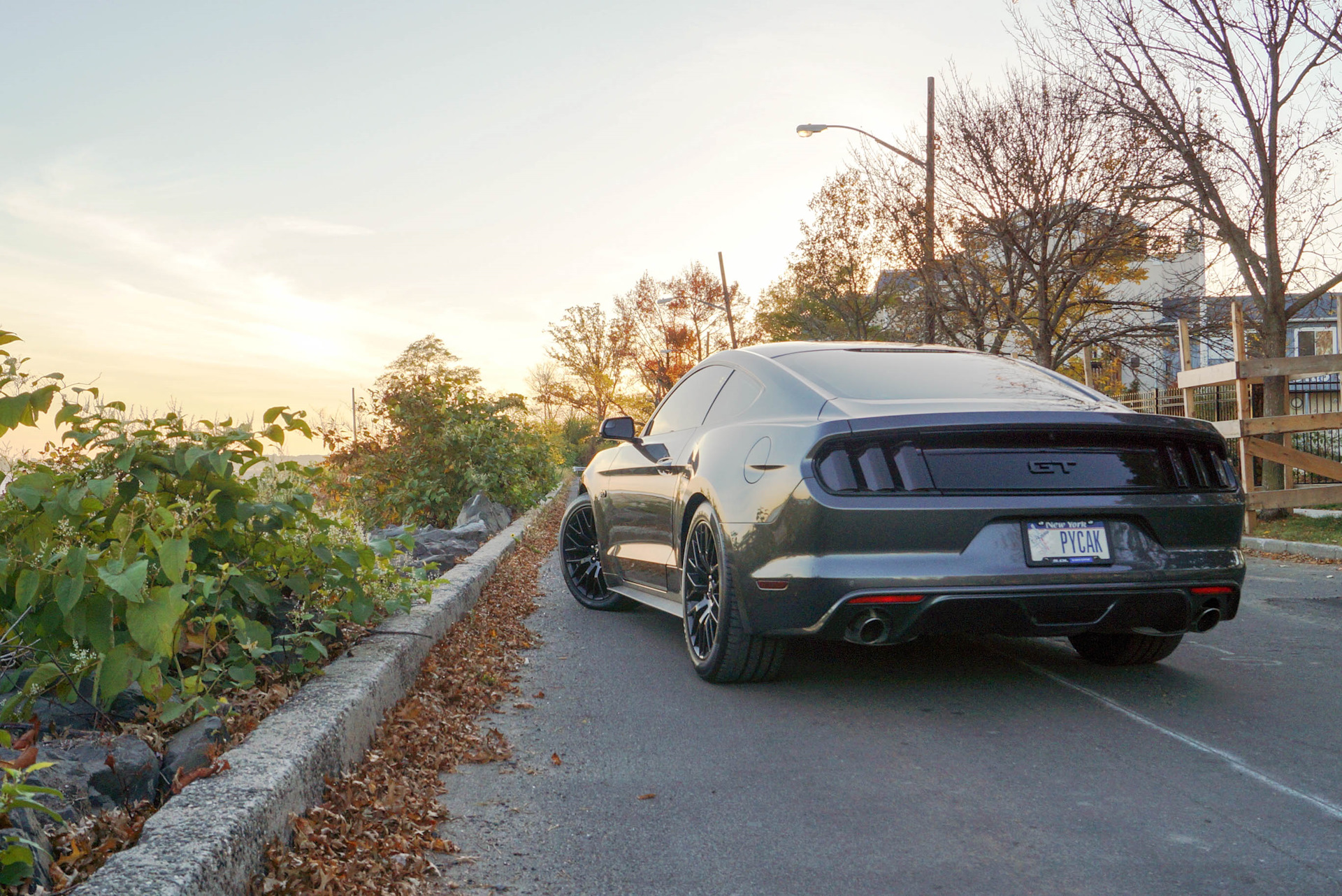 Ford Mustang gt на дороге в реале