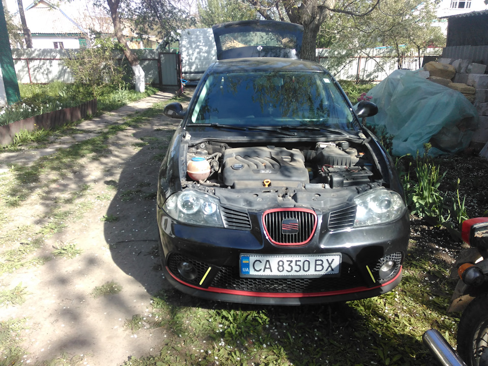 Жидкая резина BeLife или учимся малярным работам) — SEAT Ibiza (6L), 2 ...