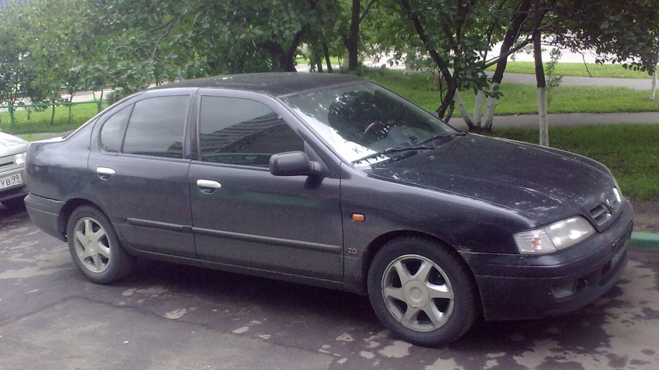 Nissan Primera (P11) 2.0 бензиновый 1998 2 литра 130 лошадей на DRIVE2