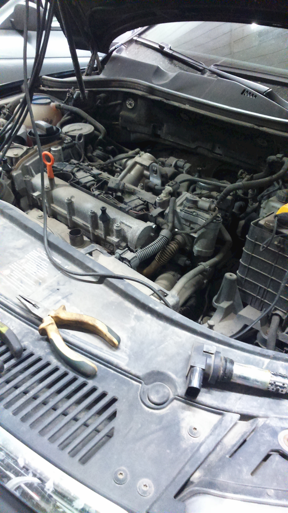 Фото в бортжурнале Volkswagen Passat B6