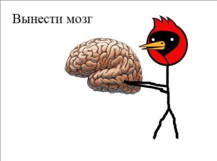 Мозгоклюй. Клевать мозг. Птица выклевывает мозг. Птица мозгоклюй. Птичка клюет мозг.
