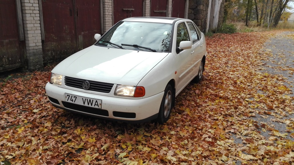 Вот так вот выглядит ПОЛО сейчас — Volkswagen Polo Hatchback Mk3, 1,6 л ...