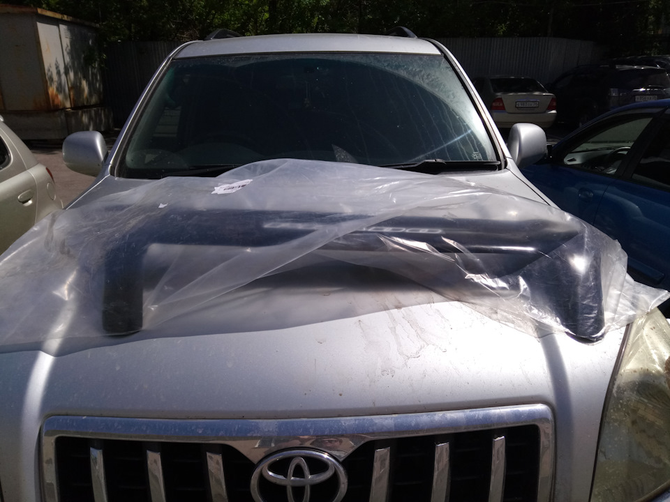 Мухобойка приехала — Toyota Land Cruiser Prado 120-series, 2,7 л, 2007 ...