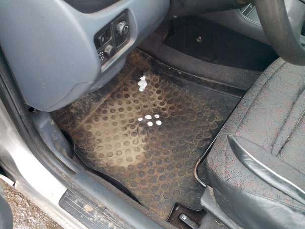 6. Коврики в салон Nissan Almera N16 - Nissan Almera II (N16), 1,5 л, 2005 года 