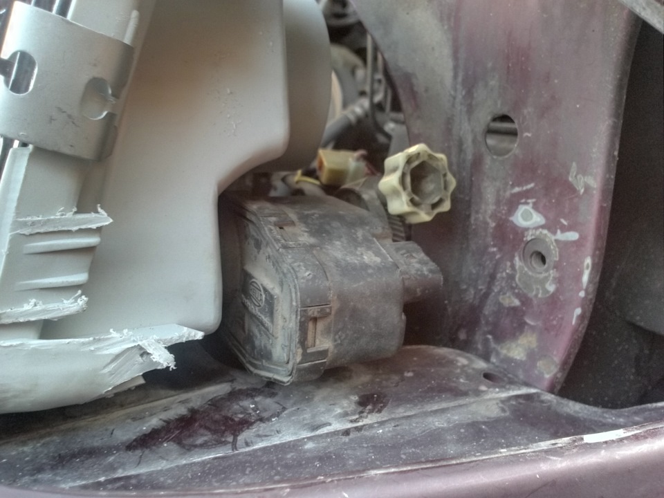 Фото в бортжурнале SsangYong Musso