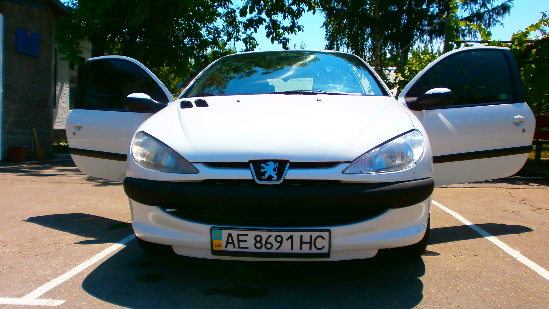 Peugeot 206 1.4 бензиновый 2002 | Пижон))) на DRIVE2