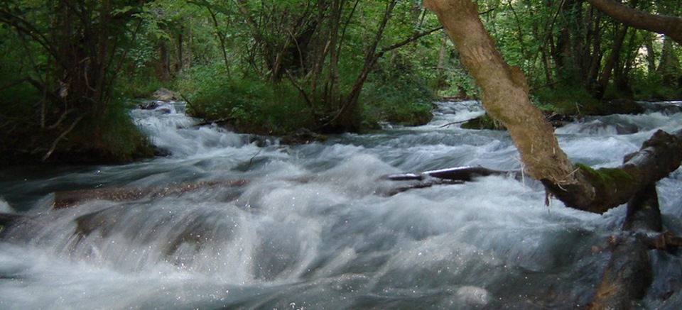 Фото в бортжурнале Volkswagen Polo Sedan